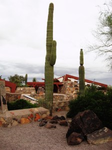 View from Taliesin West
