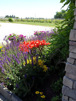 Flowers here, vines beyond