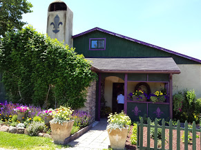 Harpersfield Vineyard is just so PRETTY!