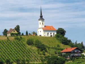 Vineyards near Maribor, photo from hiking-biking.net