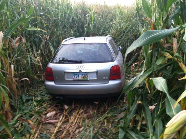 Where Miss Google feared I was heading