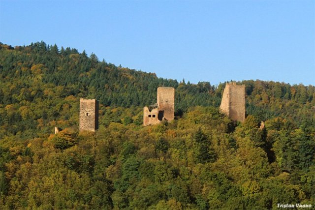 The towers are all that's left of three castles above the village of Eguisheim
